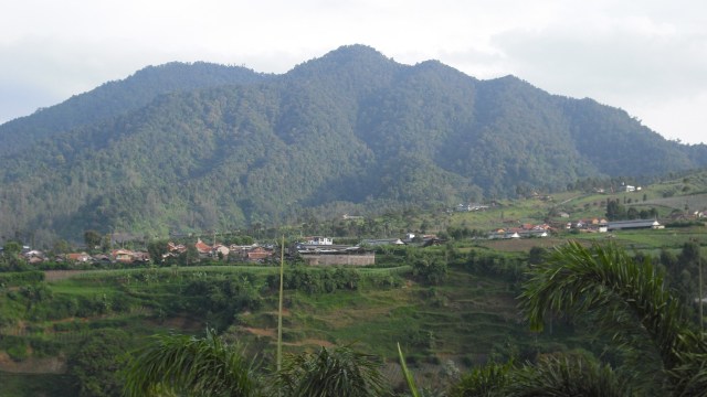 Gunung Burangrang (Foto: Wikimedia Commons)