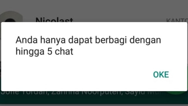 Notifikasi batasan 5 kali forward pesan di WhatsApp. (Foto: kumparan)