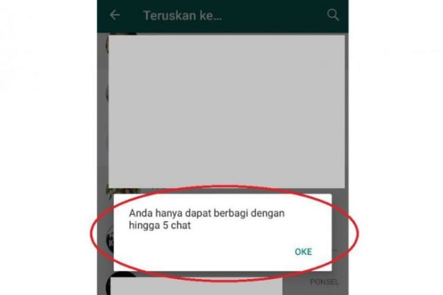 Ilustrasi Whatsapp. (Foto : Kompas)