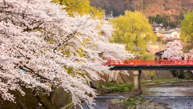 Takayama City, Jepang. (Foto: Shutter Stock)