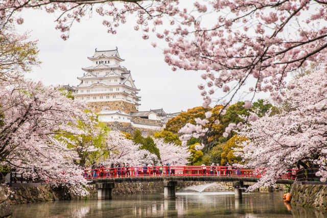 Kastil Himeji di Jepang. (Foto: Shutter Stock)