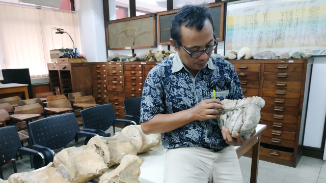 Agus Tri Hascaryo, S.T., S.S., M.Sc., Anggota Tim Penelitian Stegodon ITB (Foto: Utomo Priyambodo/kumparan)