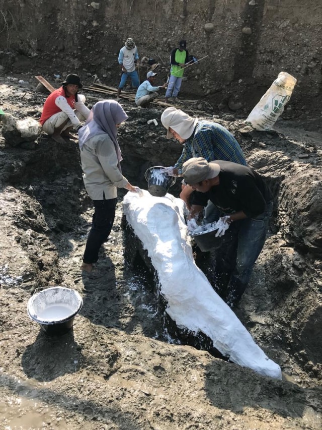 Proses penggalian fosil Stegodon di Majalengka (Foto: Dok. ITB)