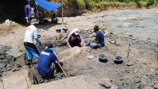 Proses penggalian fosil Stegodon di Majalengka (Foto: Dok. ITB)