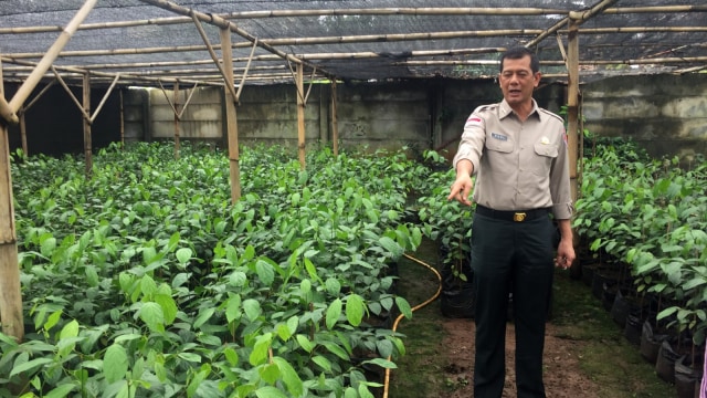 Kepala BNPB, Letjen Doni Monardo, di Lahan Pembibitan Pohon milik Budiasi, Bogor. Foto: Andreas Ricky Febrian/kumparan