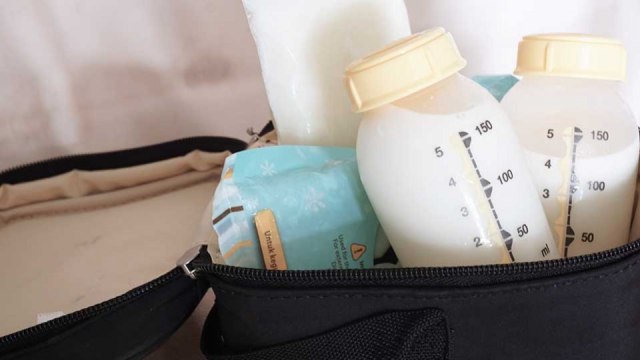 Review ASI Cooler Bag: GABAG Tristan, Pigeon Fridge To Go, Momza  (1)