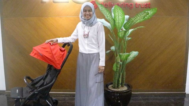 Review Hamilton Ezze Elite Stroller (1)