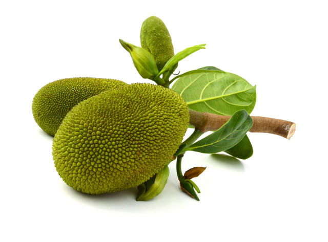 Nangka muda Foto: Shutter stock