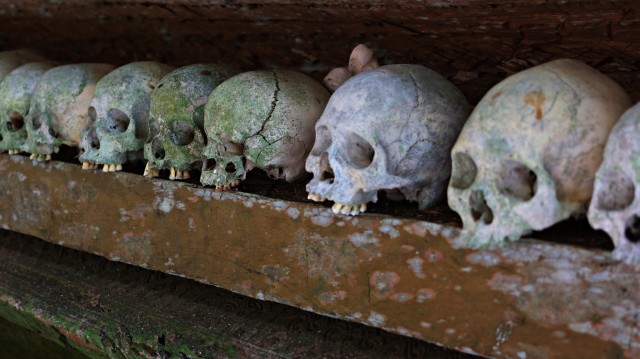 Kepala manusia disusun berjejer di sebuah peti kayu (Foto: Helinsa Rasputri/kumparan)
