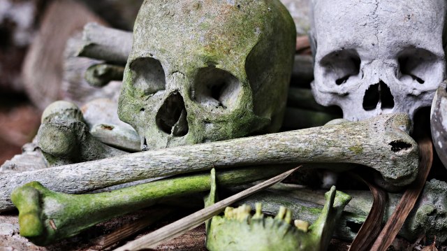 Tengkorak kepala manusia yang telah berlumut di dalam gua (Foto: Helinsa Rasputri/kumparan)