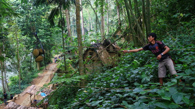 Warga memetik buah duren di kampung Gajeboh, Baduy, Lebak, Banten. (Foto: Aditia Noviansyah/kumparan)