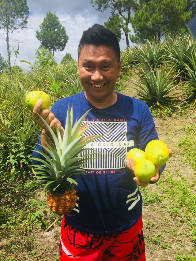 Pengunjung Kebun Nanas Sipahutar Asal Tuban (Foto: Josua Simanjuntak)