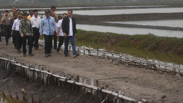 Presiden Joko Widodo (tengah) berjalan menuju lokasi panen raya udang di Muara Gembong, Bekasi, Jawa Barat, Rabu (30/1/2019).   (Foto: ANTARA FOTO/Akbar Nugroho Gumay/ama.)