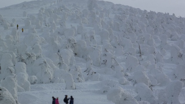 Juhyo Foto: Wikimedia Commons