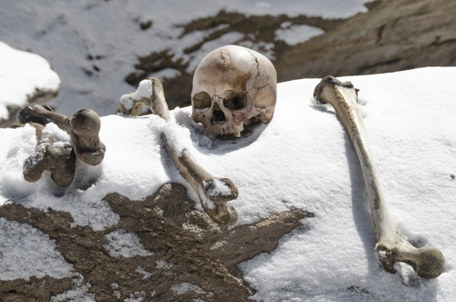 Salah Satu Tengkorak yang Ditemukan di Danau Roopkund, India Foto: Flickr / RAHUL BARUA