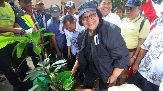 Menteri Lingkungan Hidup dan Kehutanan Siti Nurbaya Bakar (tengah) menanam pohon di Situ Pladen Depok, Jawa Barat, Minggu (10/2). Foto: ANTARA FOTO/ Kahfie kamaru