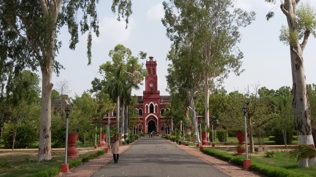 Gerbang masuk Aligarh Muslim University, India. Foto: Khiththati/acehkini