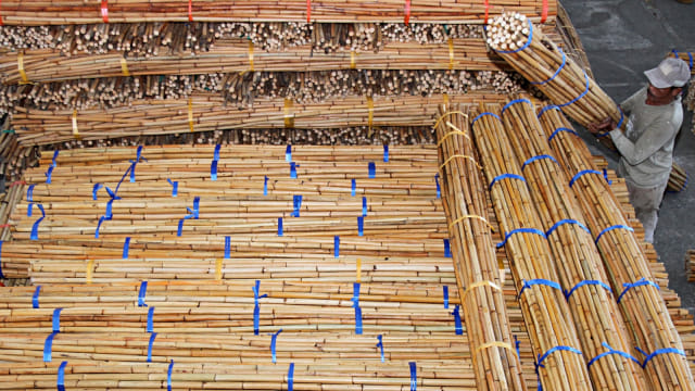 Pekerja membawa rotan mentah di salah satu tempat penampungan Desa Kabu Blang Sapek,Suka Makmur, Nagan Raya, Aceh. Foto: Antara/Syifa Yulinnas