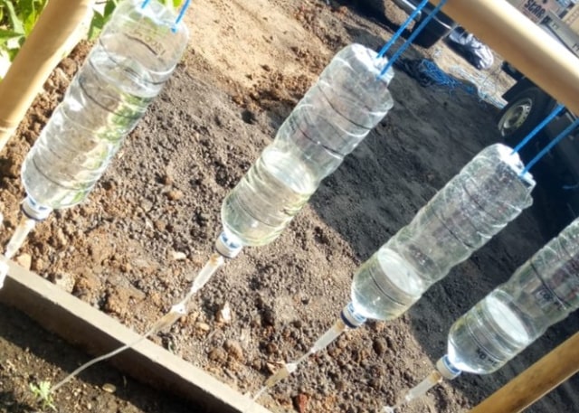 Kisah Kopernik Selamatkan Petani dengan Irigasi Tetes Botol Bekas