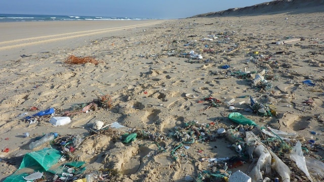 Sampah plastik mencemari pantai. Foto: Pixabay