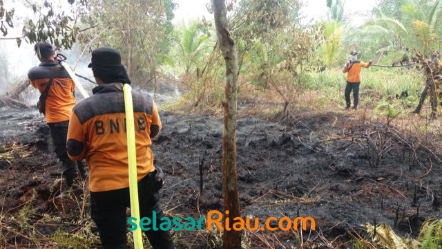 TIM Gabungan berjibaku bahu-membahu memadamkan api yang membakar lahan gambut di Kabupaten Bengkalis.  