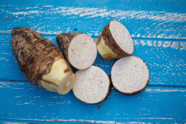 talas Foto: Shutterstock