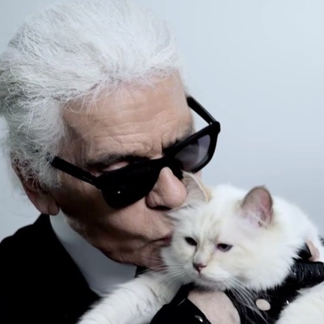 Choupette kucing kesayangan Karl Lagerfeld. Foto: Instagram @choupettesdiary