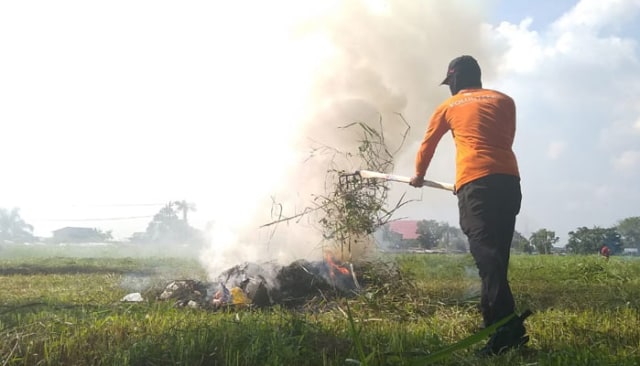 Seorang relawan menyapu dan membakar sampah yang dibersihkannya di dekat Danau Laguna di Kelurahan Besar, Kecamatan Medan Labuhan, Kamis (21/2/2019). Foto: SumutNews.com