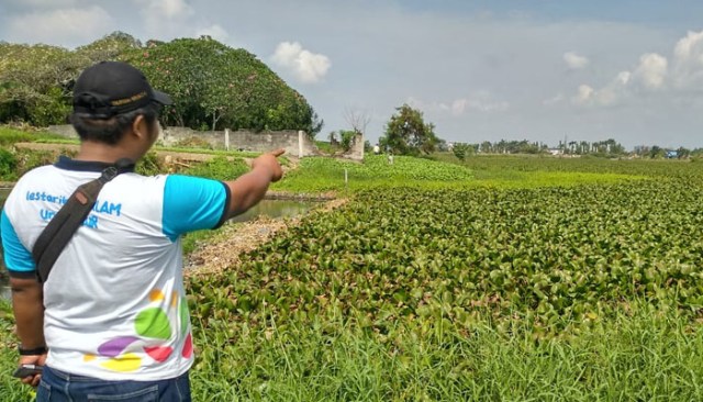 Seorang warga menunjuk pada enceng gondok yang memenuhi permukaan Danau Martubung, di Kelurahan Besar, Kecamatan Medan Labuhan. Danau ini dulunya tempat wisata dan kini tak terawat, Kamis (21/2/2019) (SumutNews.com) 