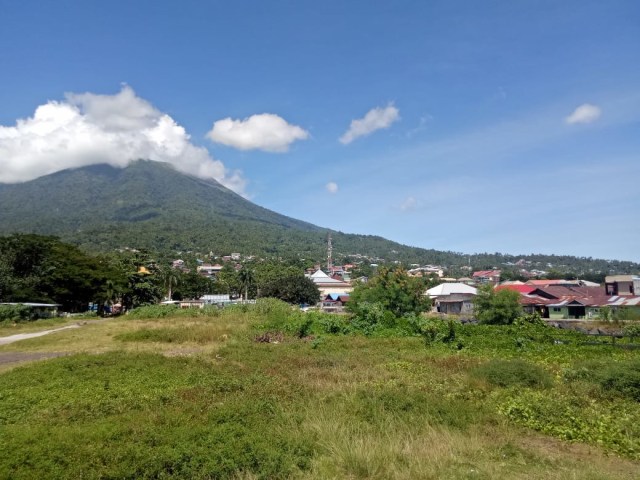 Di sisi selatan pelabuhan bersejarah itu, tampak rerumputan menjalar menutup tanah timbunan reklamasi. Foto: Rajif Duchlun/cermat