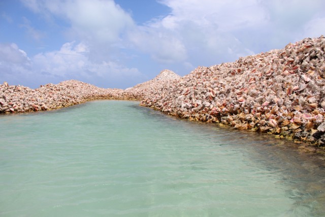 Conch Island Foto: Shutter Stock