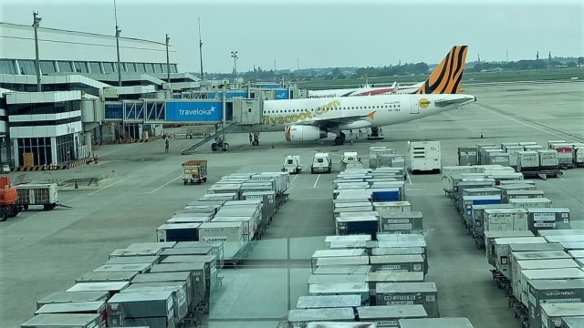 Ilustrasi pesawat di bandara. Foto: Rachmadin Ismail/kumparan