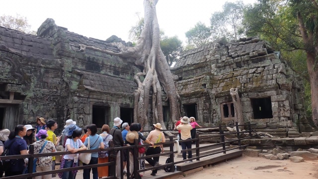 Wisatawan Mengantre untuk Foto di Salah Satu Pohon di Ta Prohm, Kamboja Foto: Bella Cynthia / kumparan