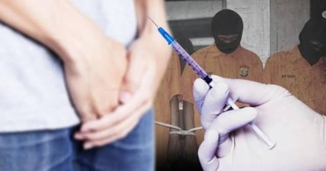 Ilustrasi kebiri | Foto : ist.