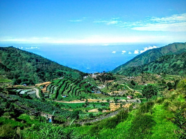 Desa Sembungan Foto: Instagram/@masdain_309