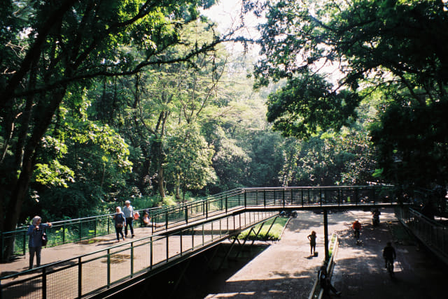 Hutan Kota Babakan Siliwangi, Bandung Foto: Flickr / Feby Setianingrum