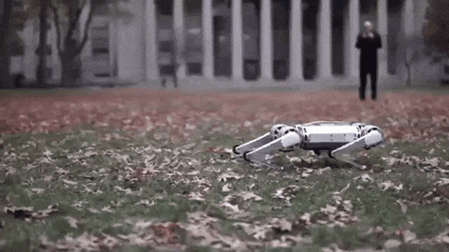 Robot Mini Cheetah dapat melakukan salto backflip. Foto: MIT