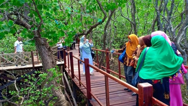 Pengunjung berfoto ria di objek wisata 'Jalan Titian Mangrove Rewataa' di Kelurahan Lalampanua, Kecamatan Pamboang, Majene. Foto: Istimewa