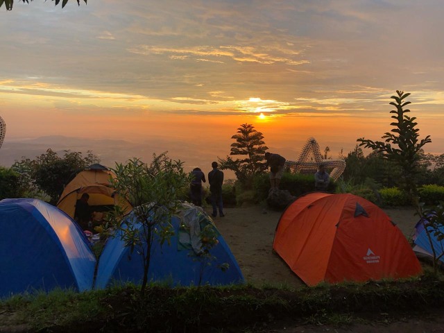 ilustrasi camping di bandung Foto: Safira Maharani / kumparan