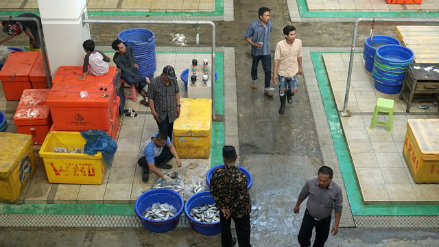 Persiapan pedagang ikan di Pasar Ikan Modern (PIM) Muara Baru jelang peresmian. Foto: Iqbal Firdaus/kumparan