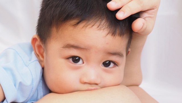 Menyusui Anak Lebih dari 2 Tahun, Apakah Ada Manfaatnya? Foto: Shutterstock