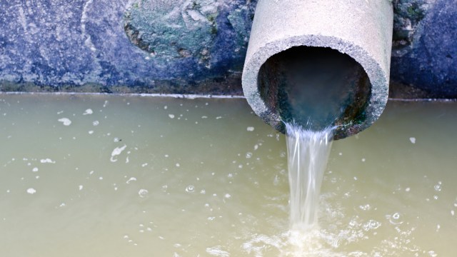 Ilustrasi pembuangan limbah di sungai. Foto: Shutter Stock