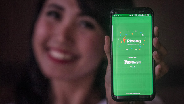 Pegawai Bank Rakyat Indonesia (BRI) Agro menunjukkan aplikasi pinjaman berplatform online 'Pinang". Foto: ANTARA FOTO/Mohammad Ayudha