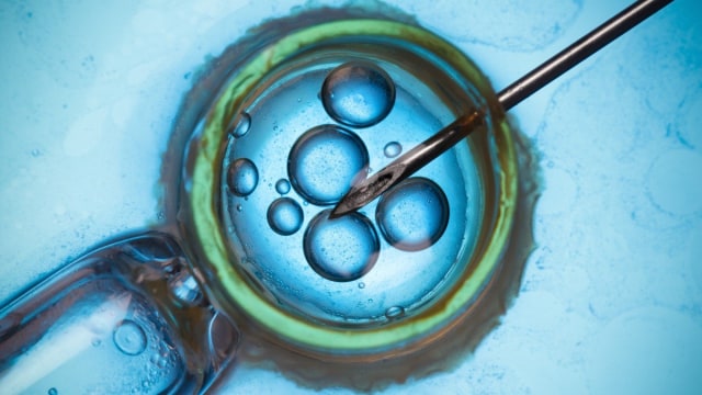 Ilustrasi sel telur wanita. Foto: Shutterstock