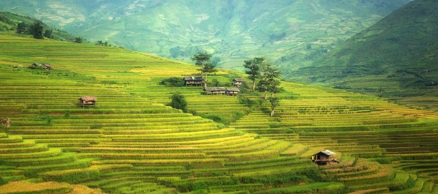 Photo credit: Pexels