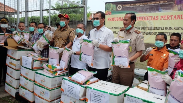 Kementrian Pertanian musnahkan 6,1 ton benih jagung asal India. Foto: Dok. Kementerian Pertanian