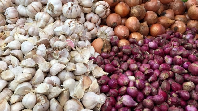 Ilustrasi bawang putih, bawang merah, dan bawang bombay. Foto: Istimewa.