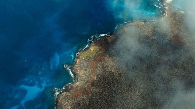 Pulau Floreana, Galapagos Foto: Tommy Hall/Island Conservation