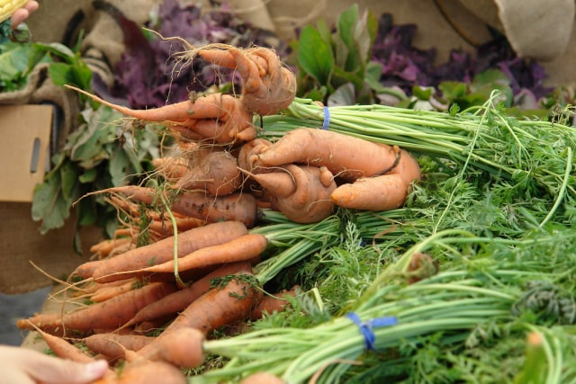 Ilustrasi sayuran dengan tampilan buruk rupa Foto: flickr/ demivisage