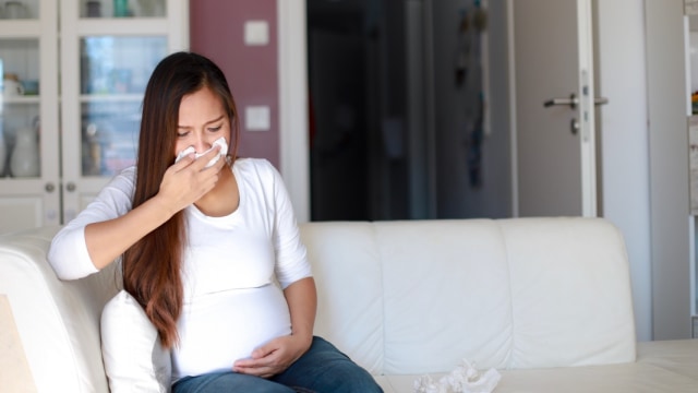 Ilustrasi ibu hamil kehilangan nafsu makan. Foto: Shutterstock